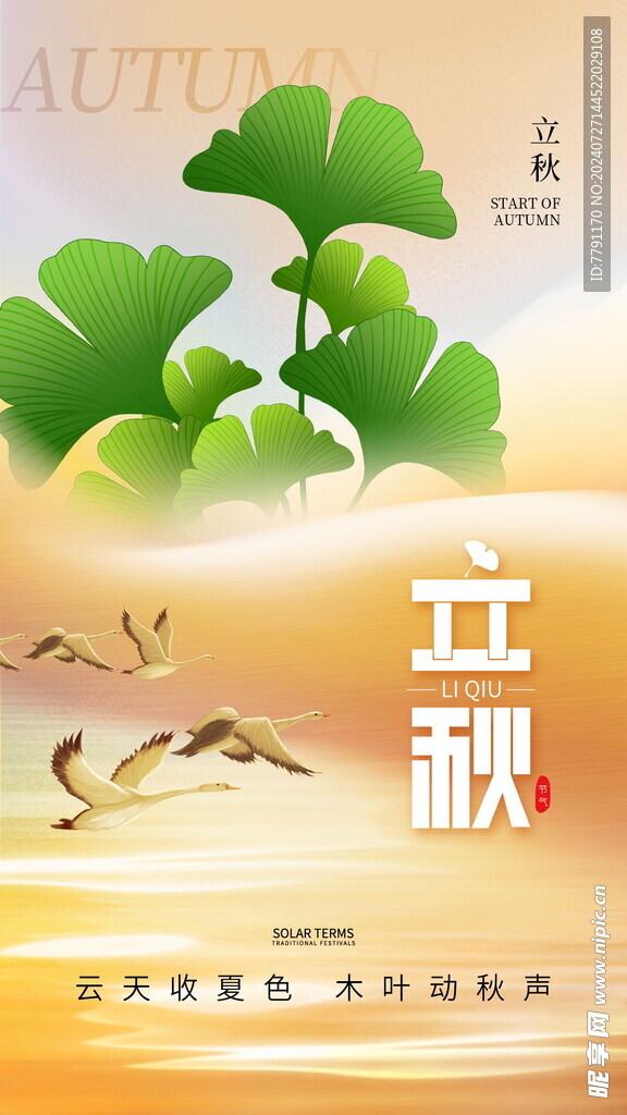 立秋海报 