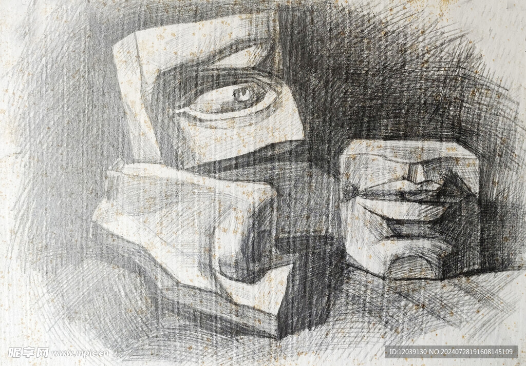 素描石膏五官