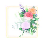 手绘鲜花