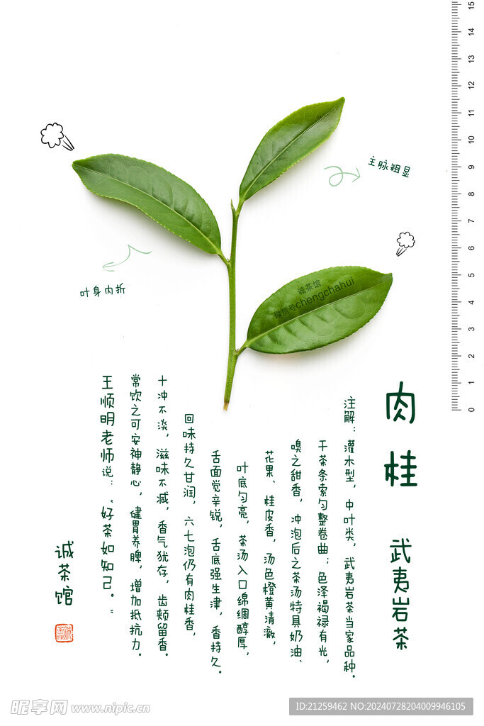 武夷岩茶肉桂