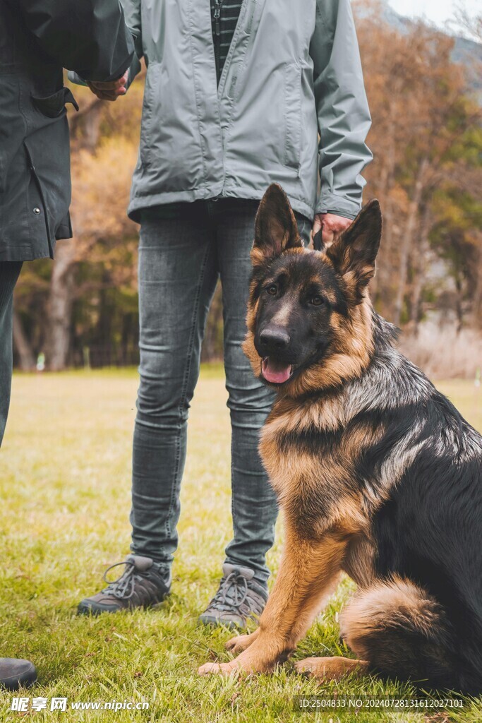 狗