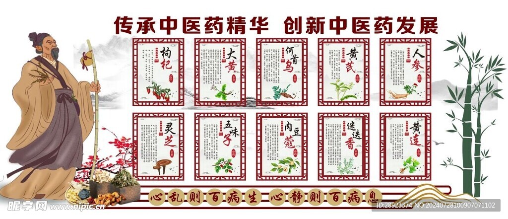 中医文化  中药简介