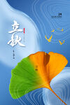 立秋海报 