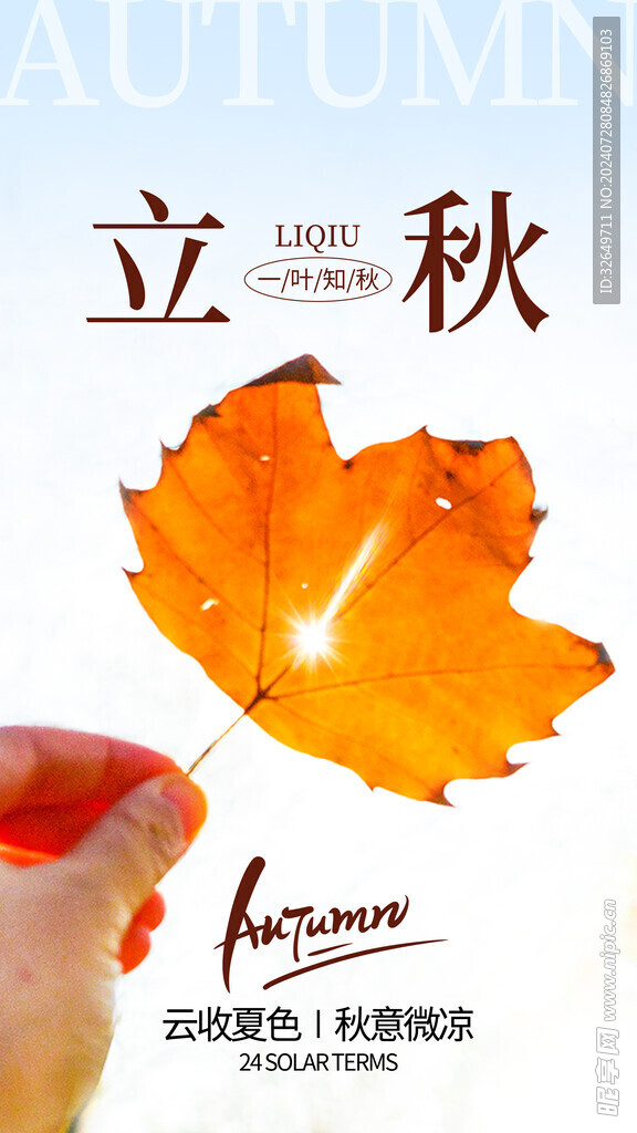 立秋海报 