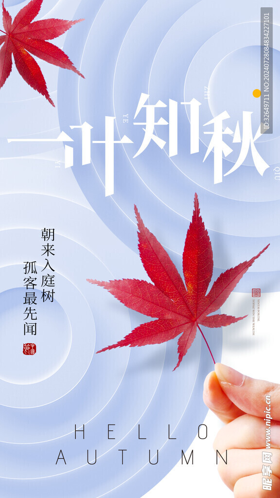 立秋海报 