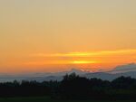 夕阳红