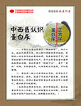 中西医认识尿蛋白