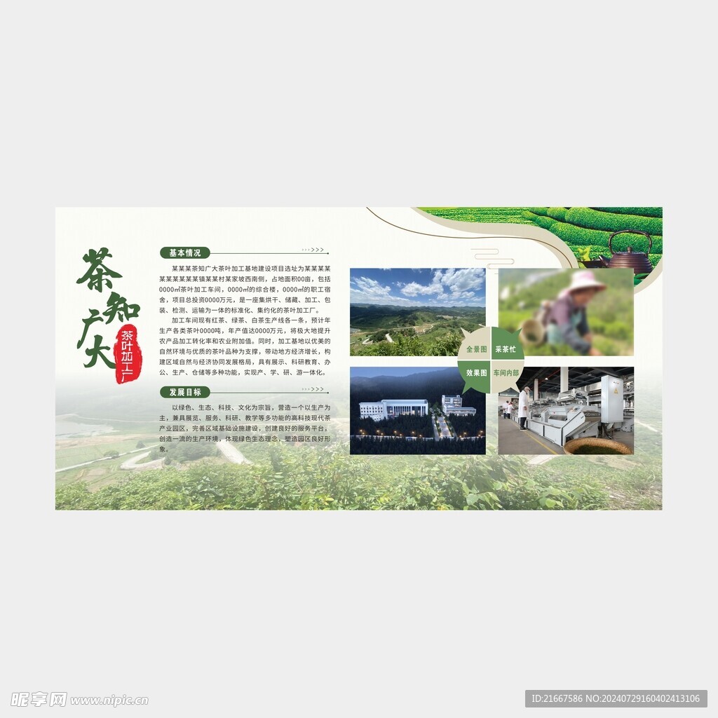 茶叶加工厂  茶知广大