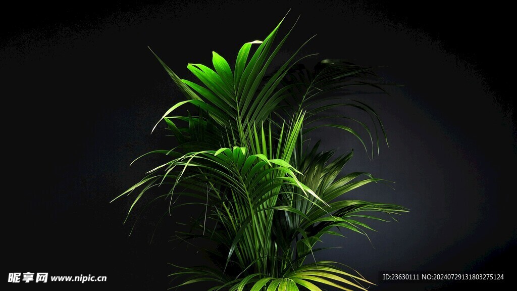 绿色植物