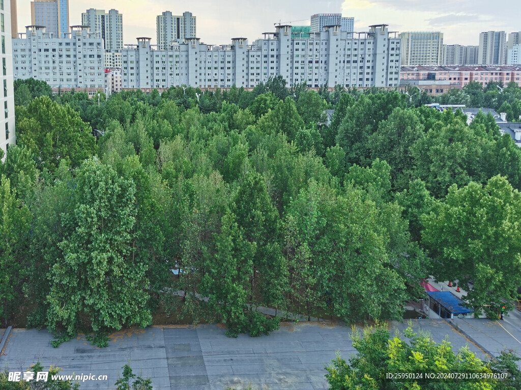 小区住宅绿化群