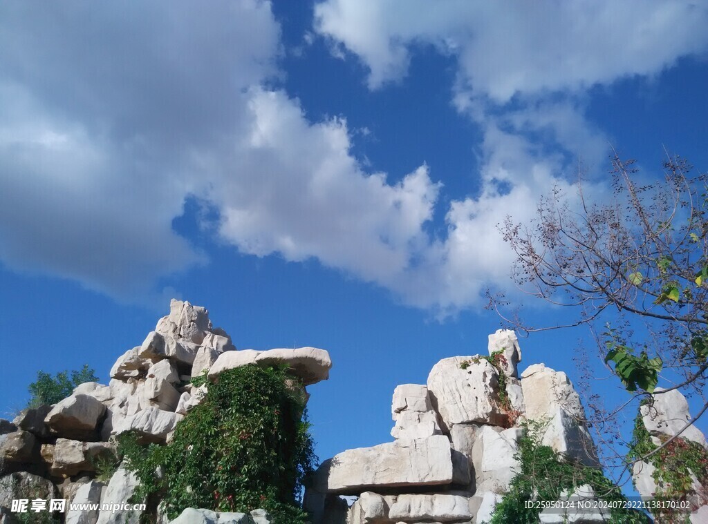 园林景观