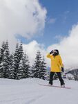 滑雪图片