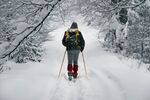 滑雪图片