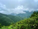 大巴山