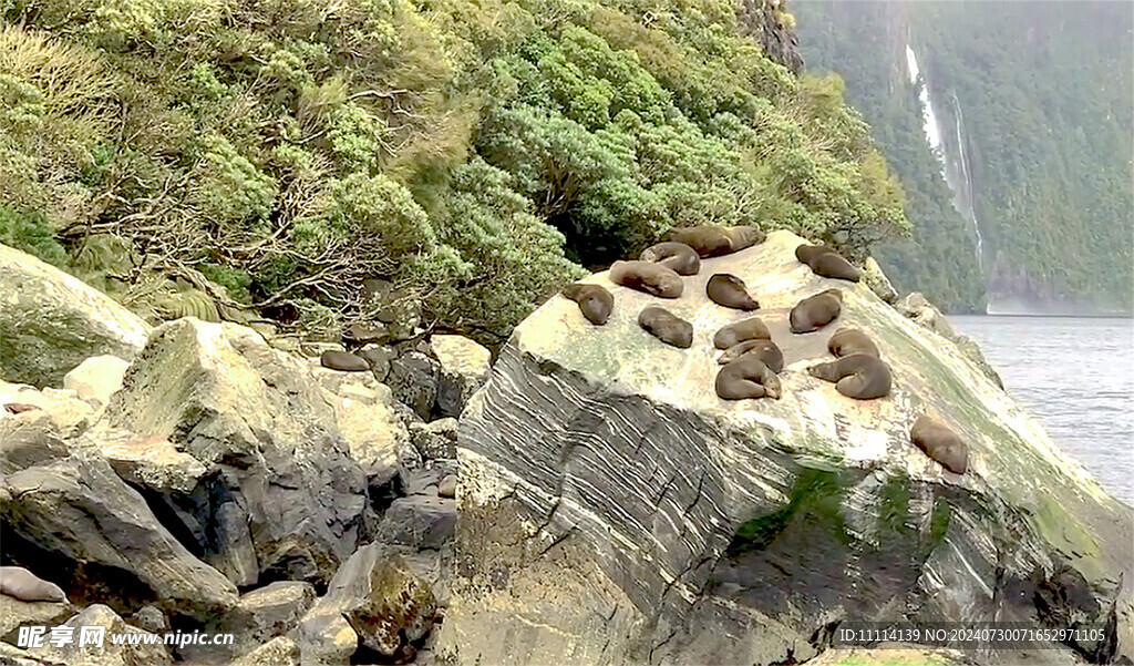 新西兰米福峡湾风景