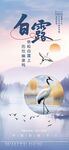 二十四节气白露海报