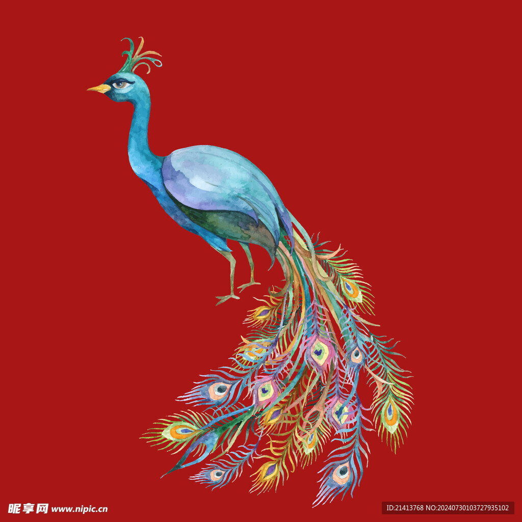手绘卡通孔雀 