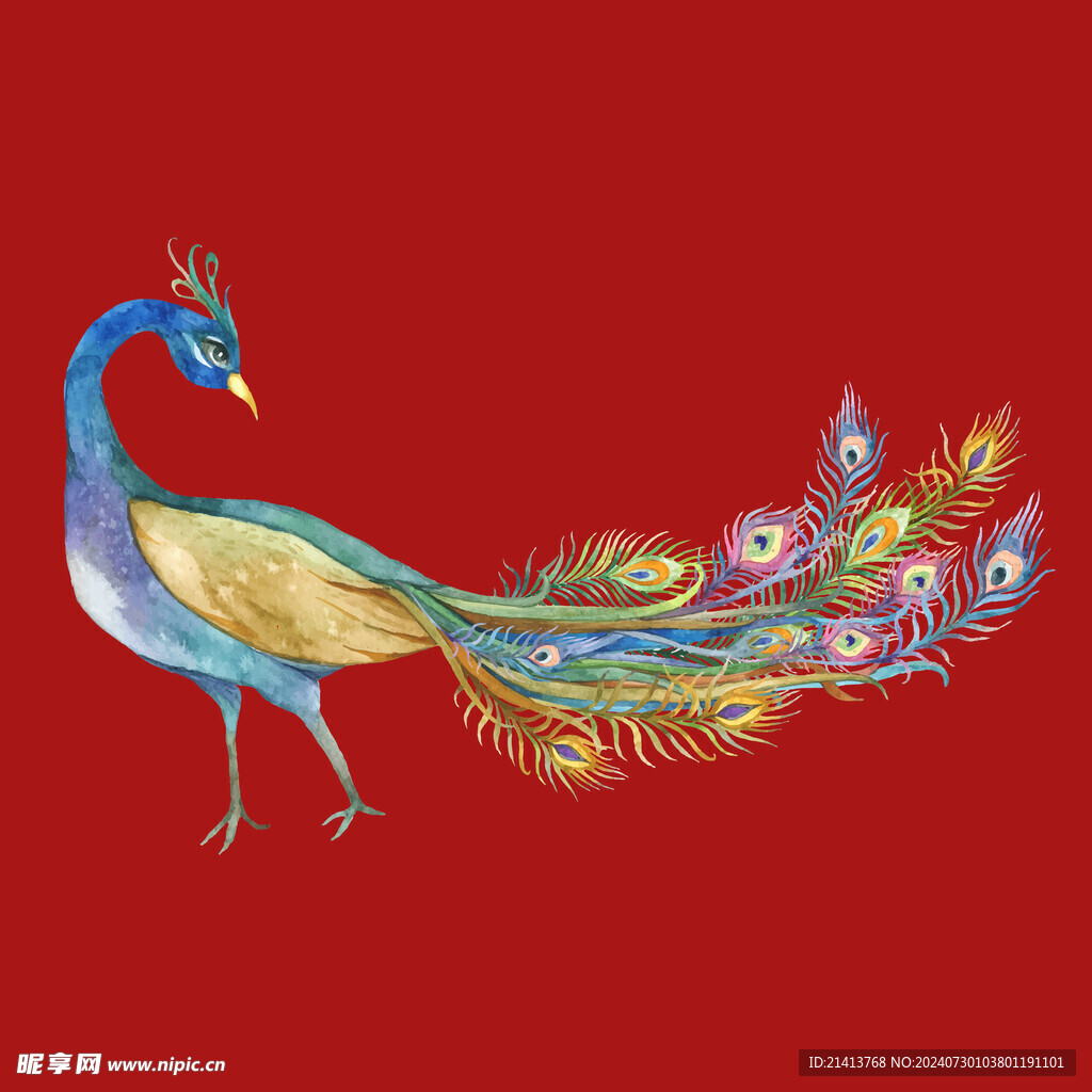 手绘卡通孔雀 