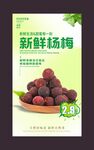 杨梅