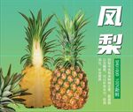 凤梨
