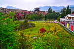 风景如画