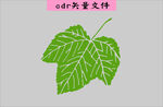 树叶