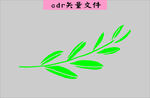 树叶