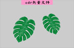 树叶