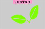 树叶