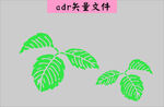 树叶