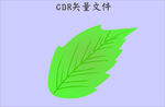 树叶