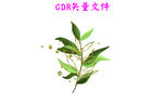 树叶
