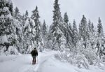  滑雪图片