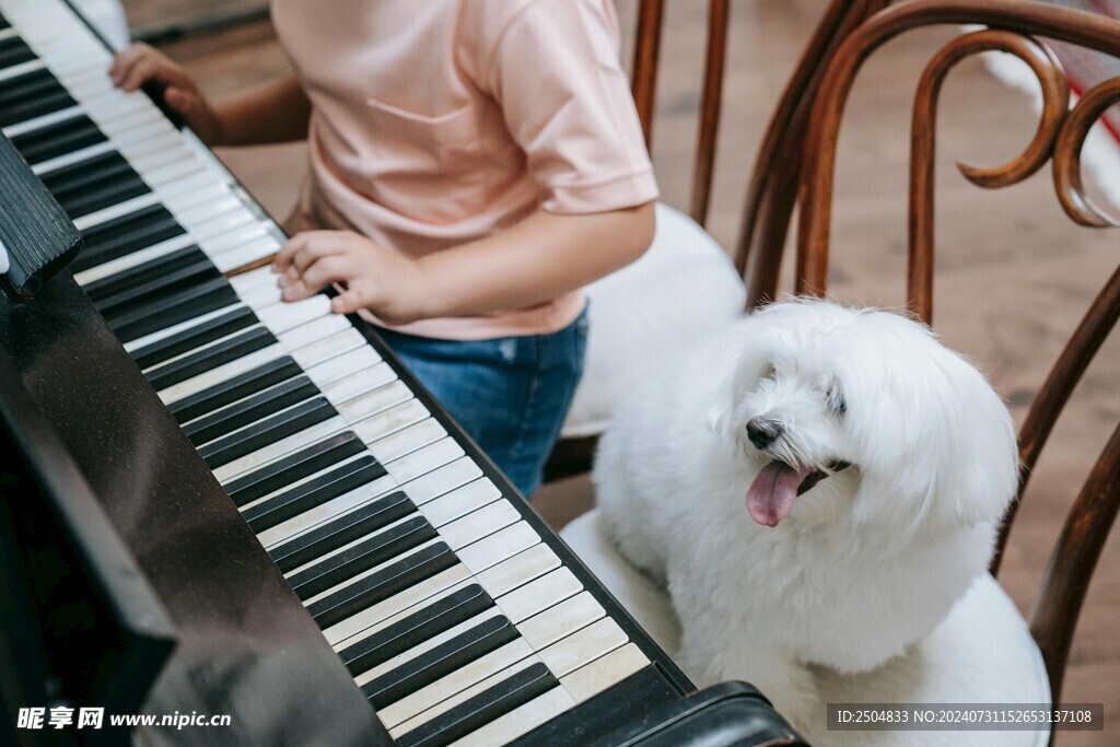 狗