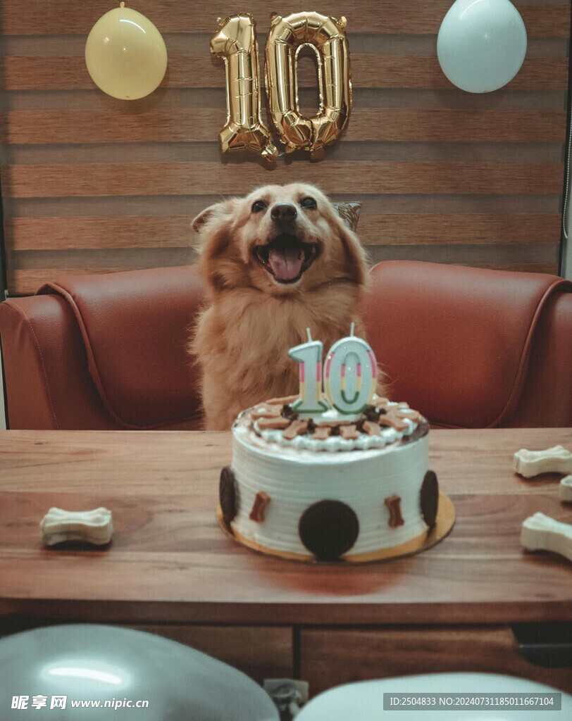 狗