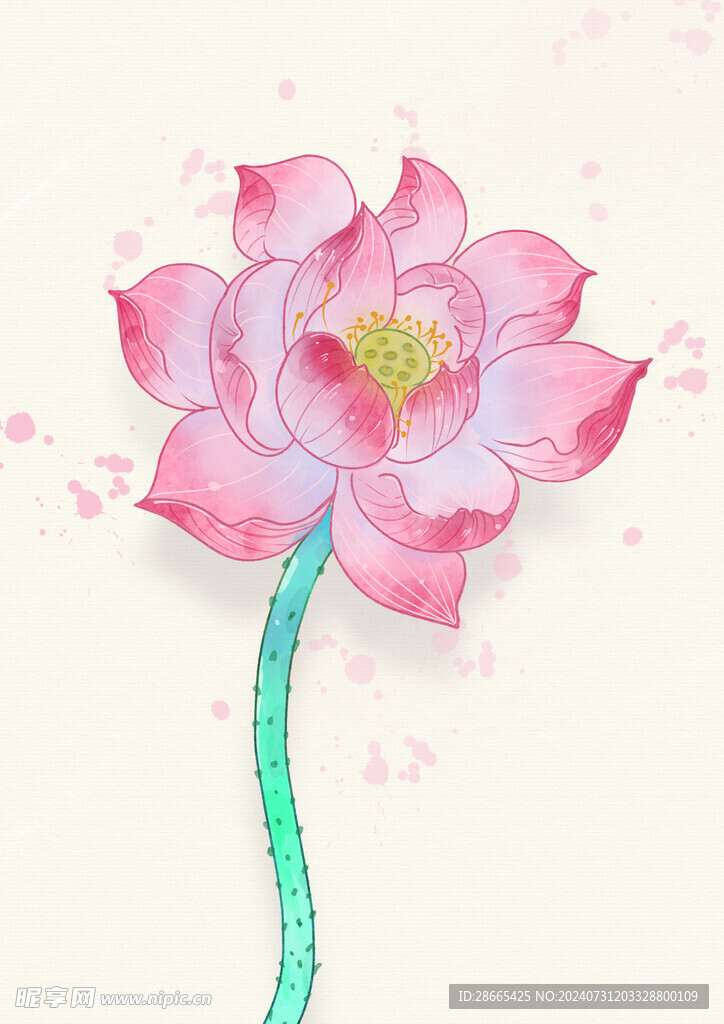 手绘插画荷花水彩风
