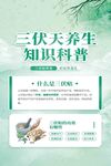 三伏天 