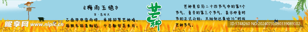 芒种