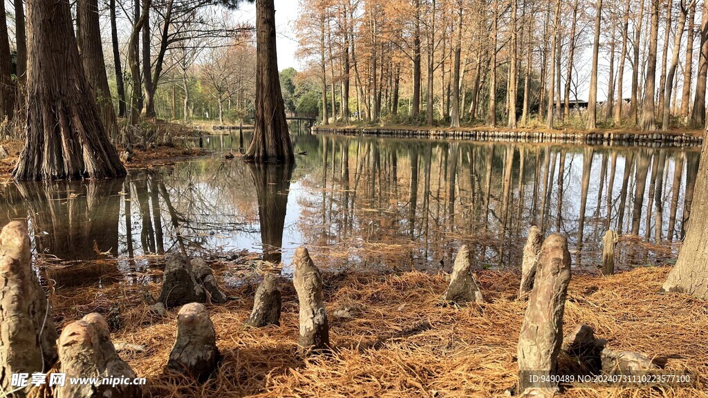 西溪湿地