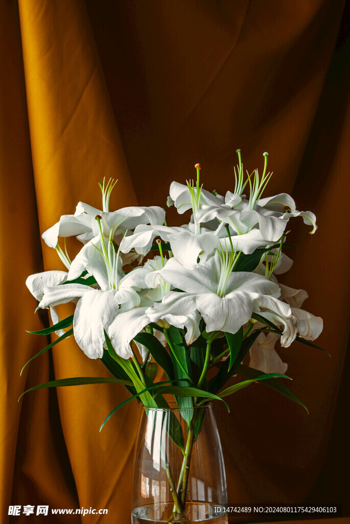 百合花