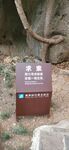 黄果树 求索