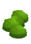 小草草地植物草坪盆栽草堆