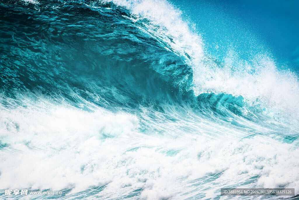 海浪花图片