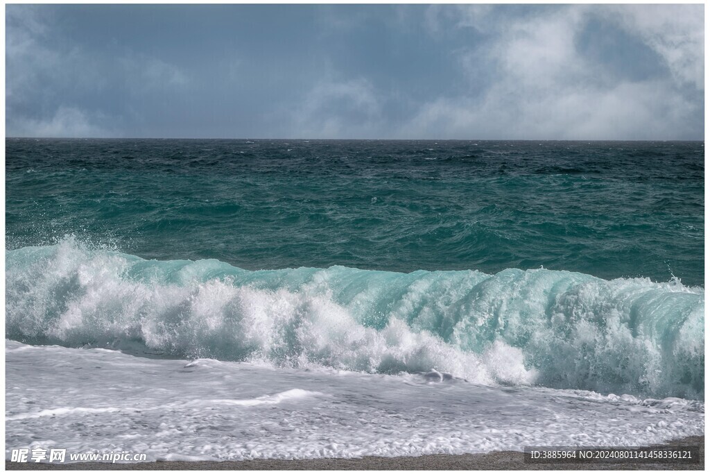 海浪花图片 