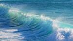海浪花图片