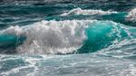 海浪花图片