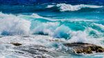 海浪花图片