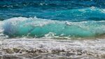  海浪花图片