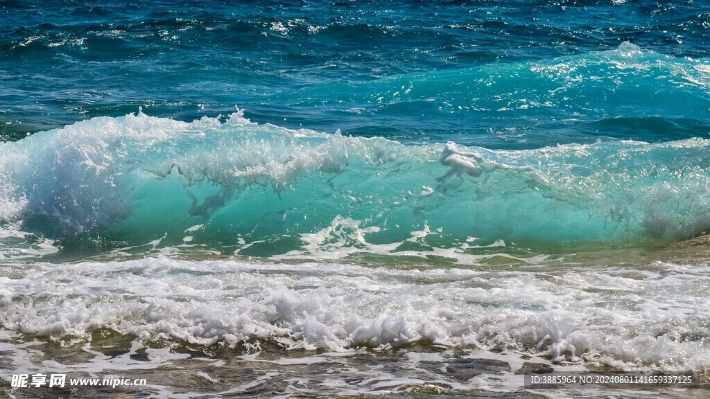  海浪花图片