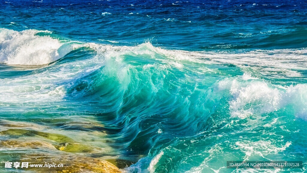  海浪花图片